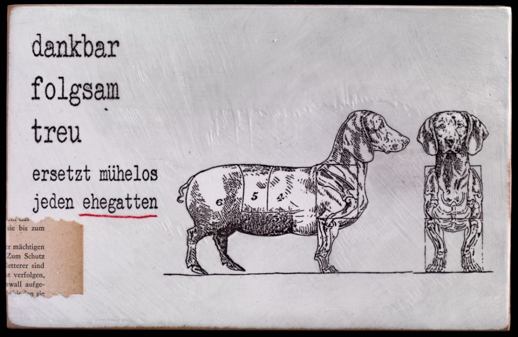 teckel, Hund, dankbar folgsam treu - Ehegatten