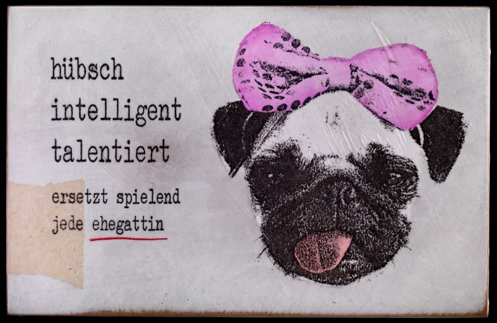 pug, Hund, hübsch intelligent talentiert - Ehegattin