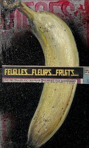 Frank Damm - "o.T. FFF" (10 x 16,5 cm) Dynamik, Licht und das pulsierende Leben unserer Zeit sind Frank Damms vorherrschende Themen. Seine Bilder wirken fotorealistisch, gehen aber darüber hinaus. Motiv: Eine gemalte Banane mit dem Spruch "Feuilles...Fleurs...Fruits..." Galerie 5, Mönchengladbach, NRW.