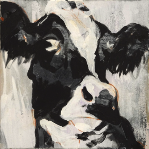 Stephan Geisler - Black and White II (50x50cm) Three Black and Whites COWS