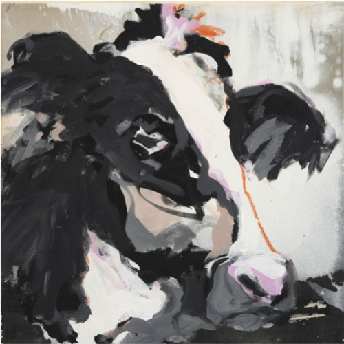 Stephan Geisler - Black and White III (50x50cm) Three Black and Whites COWS